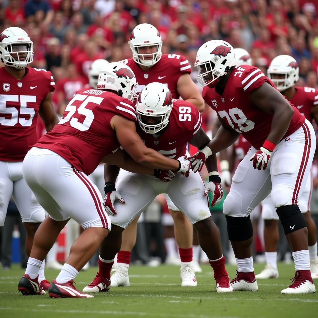 Arkansas Razorbacks Offensive Line