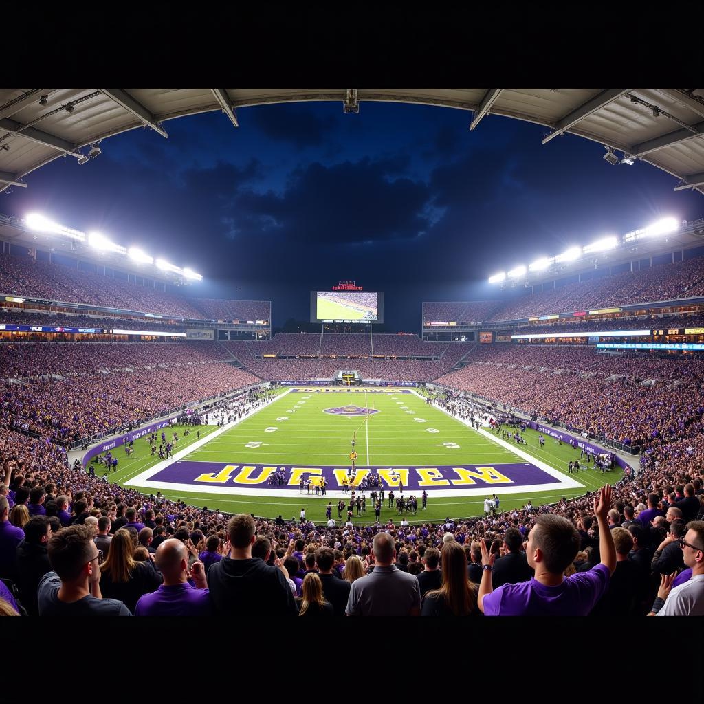 ASU and JMU Fans Cheering