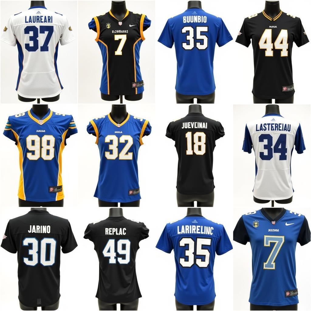 Different Styles of Southern University Jaguars Jerseys