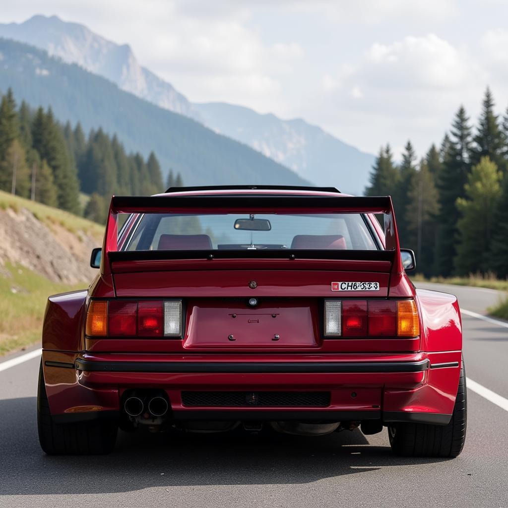 E30 Pandem Rear View