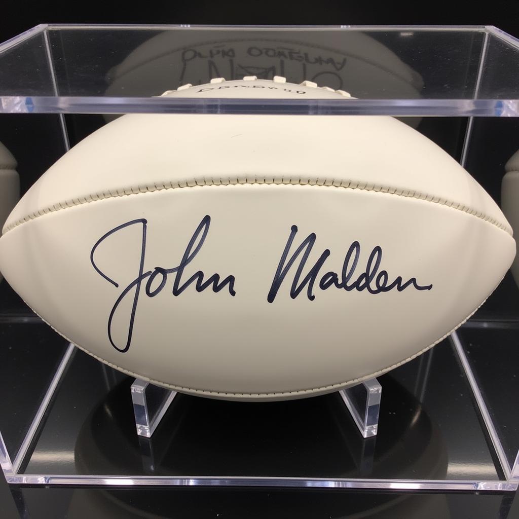 John Madden Signed Football in Display Case