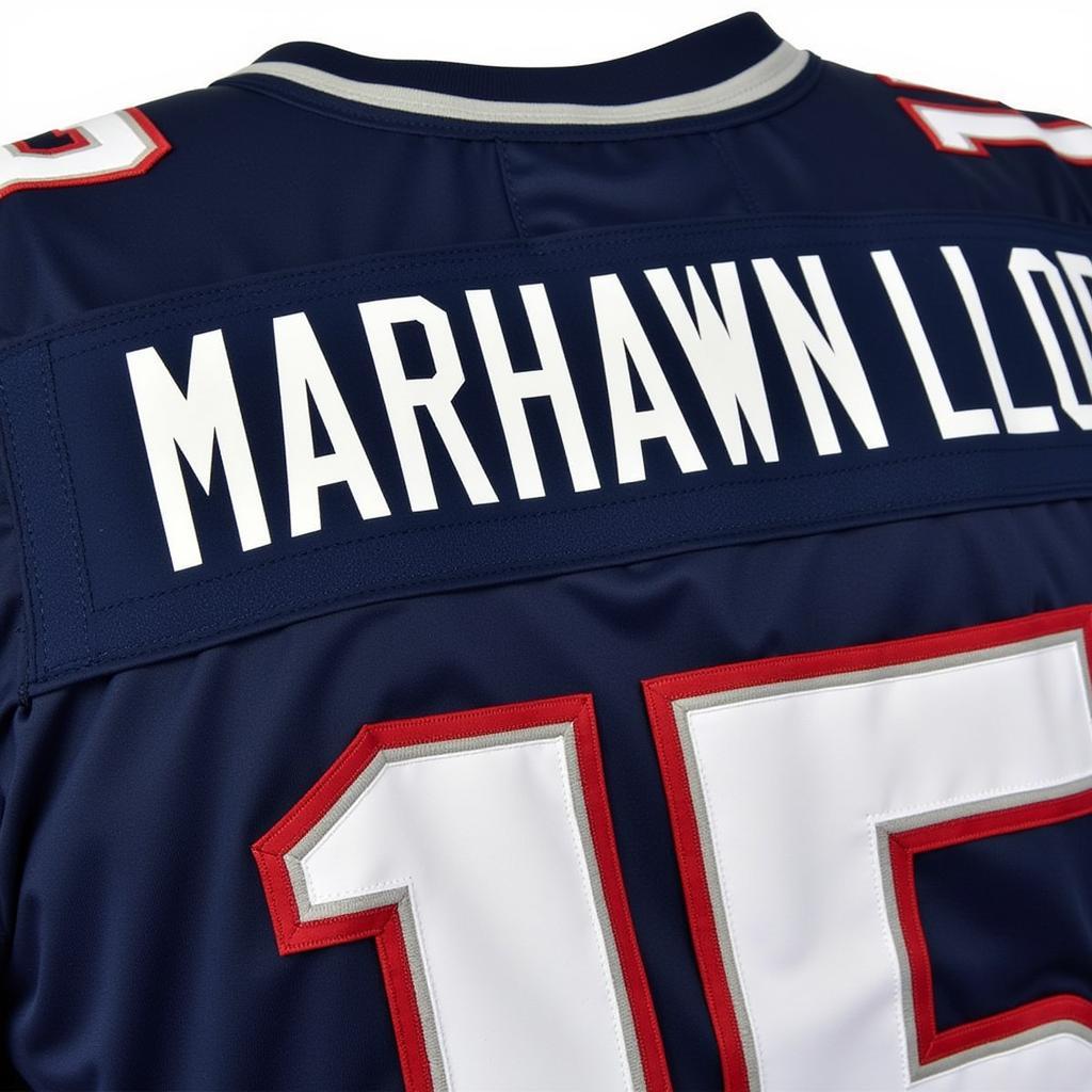 Marshawn Lloyd Jersey: A Symbol of Emerging Talent