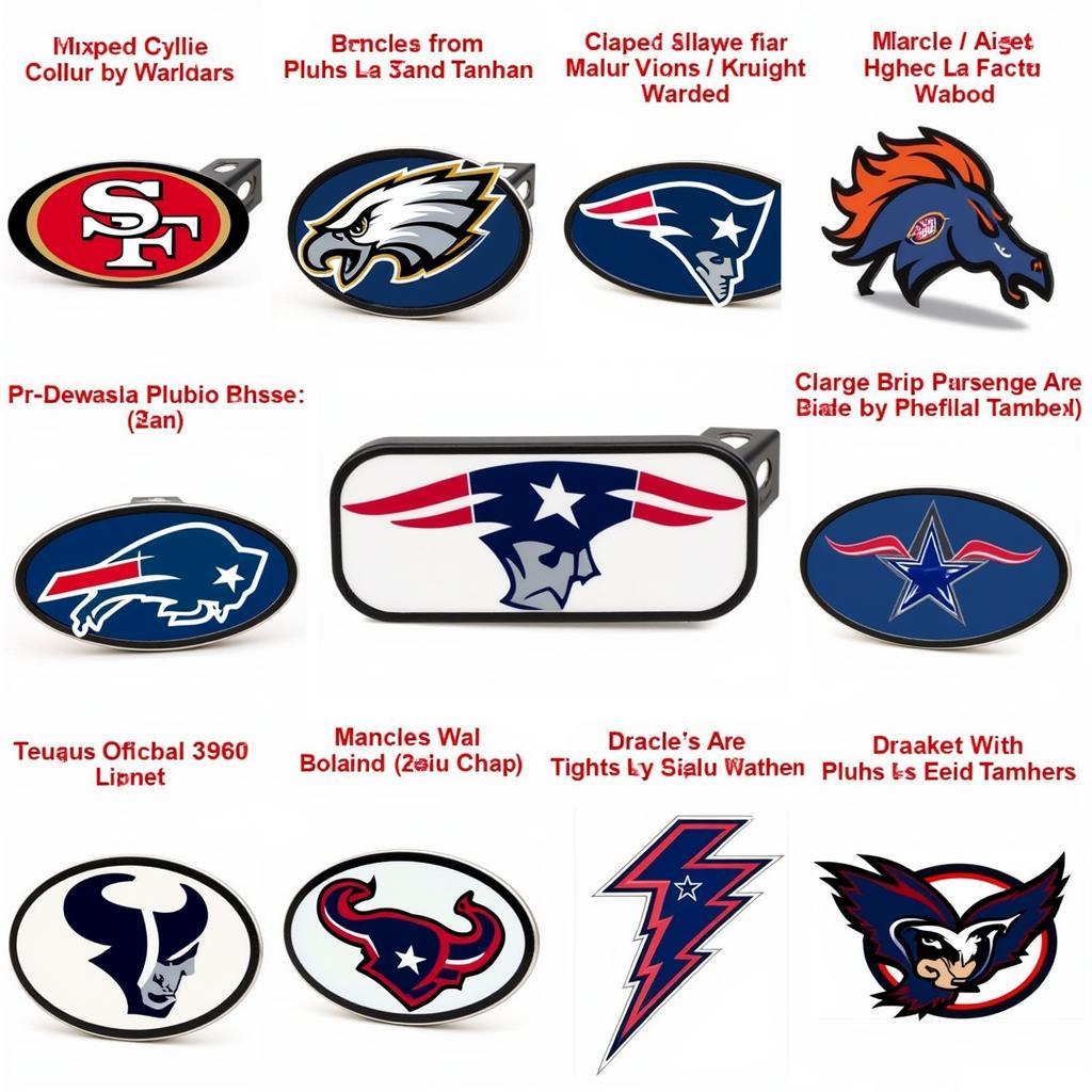 NFL Hitch Covers in Variety