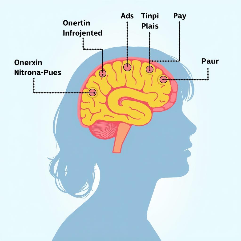 Illustration of the human brain with highlighted areas affected by nitrous oxide