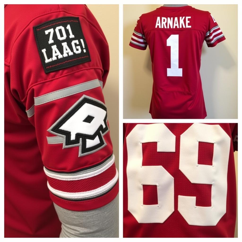 Creative Ohio State Jersey Customizations