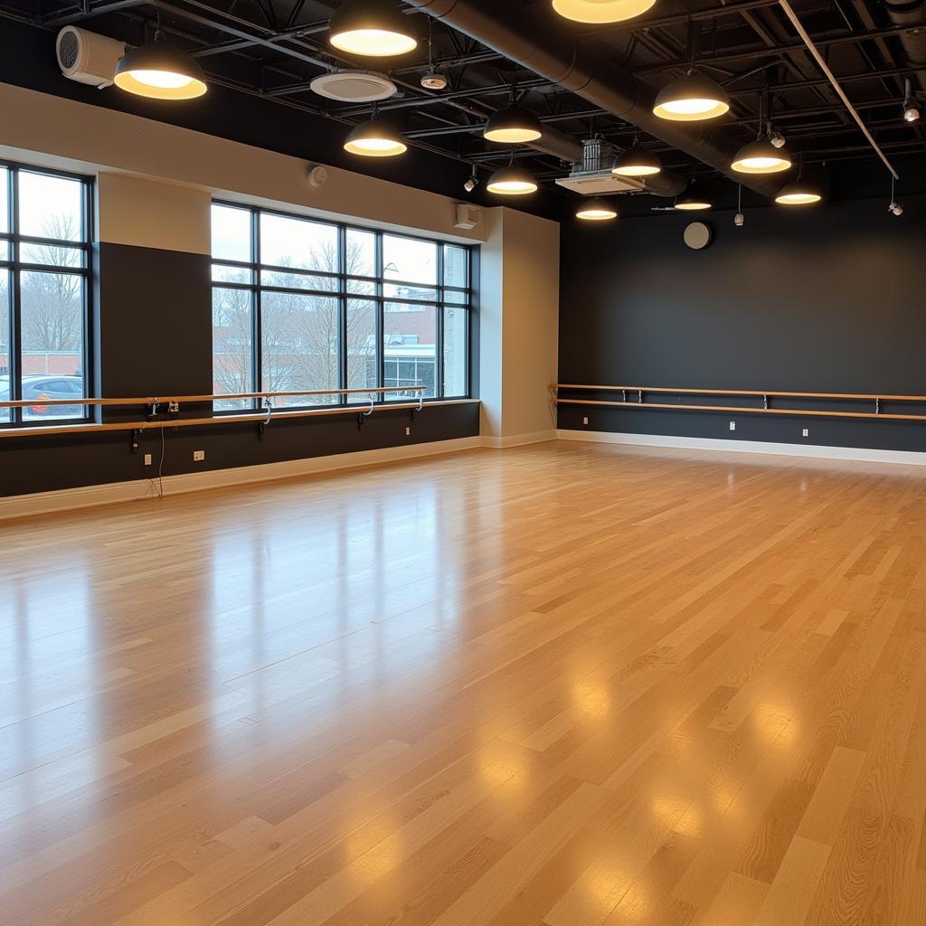 Professional ballroom with sprung floor