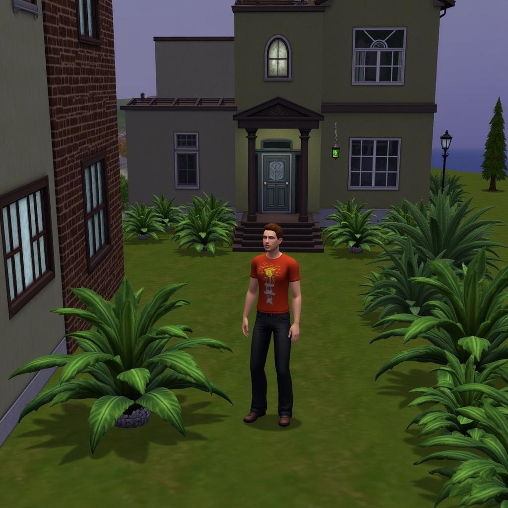 Gameplay of Sims 3 Challenges