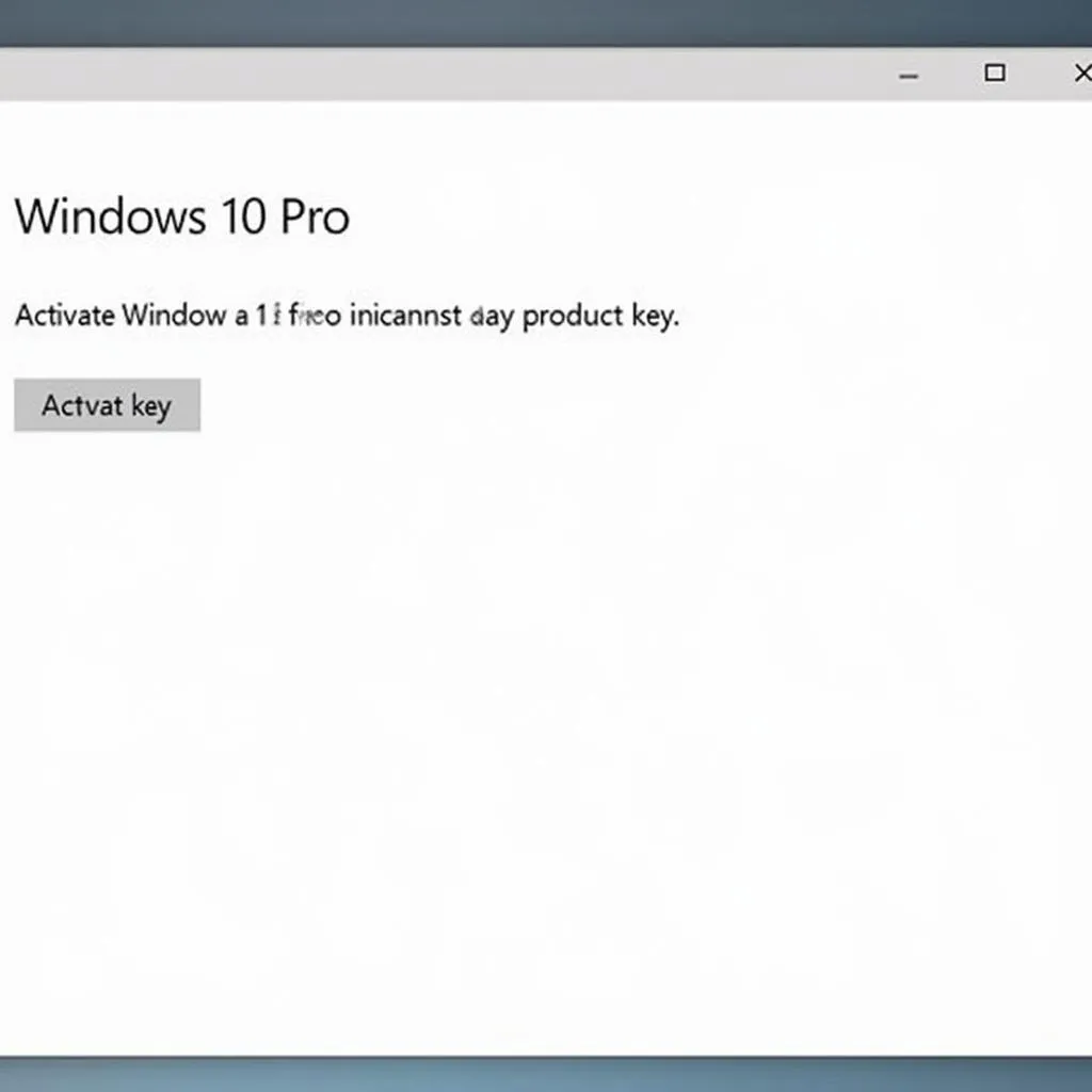 Windows 10 Pro Activation Screen