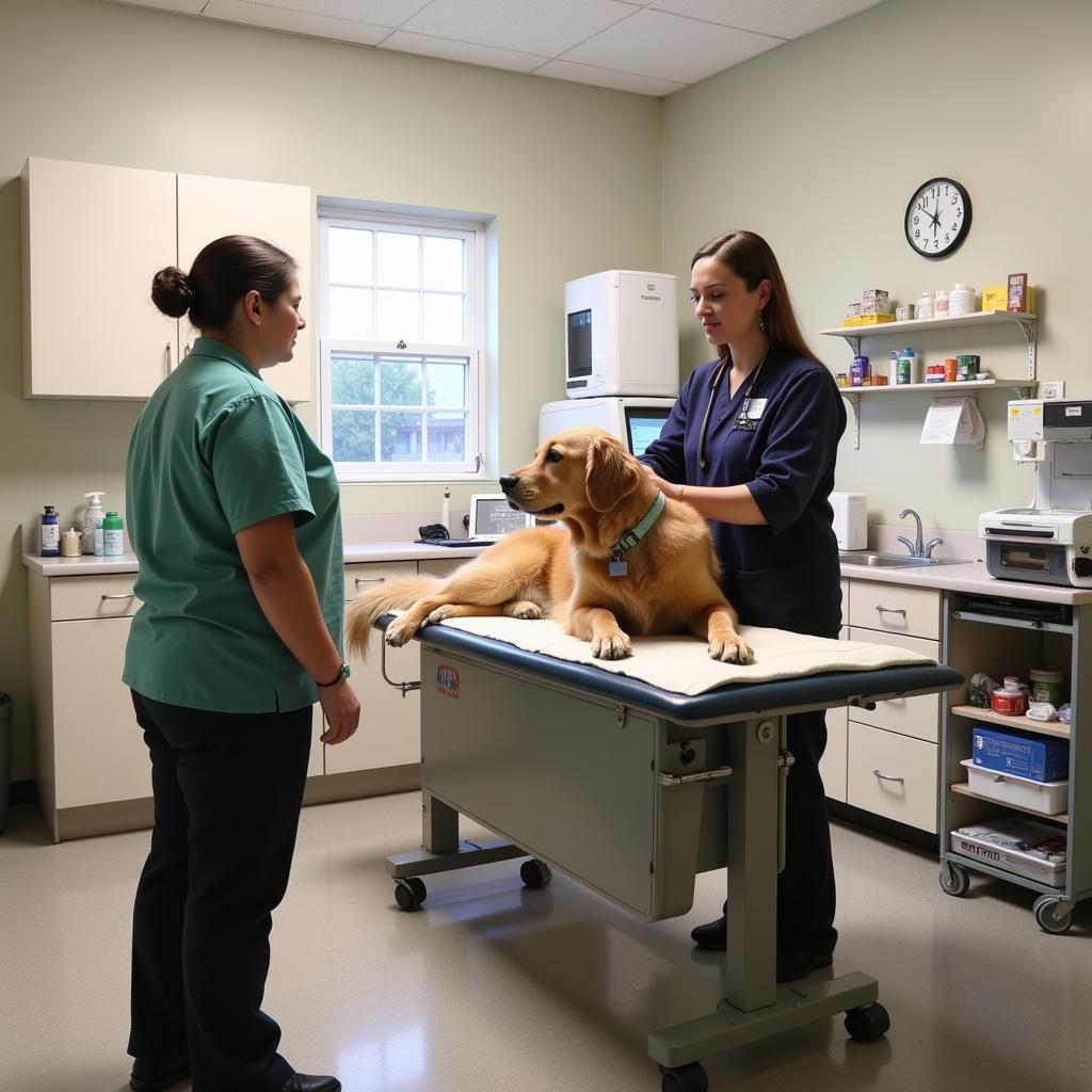 Veterinarian examining a dog in a well-equipped exam room.