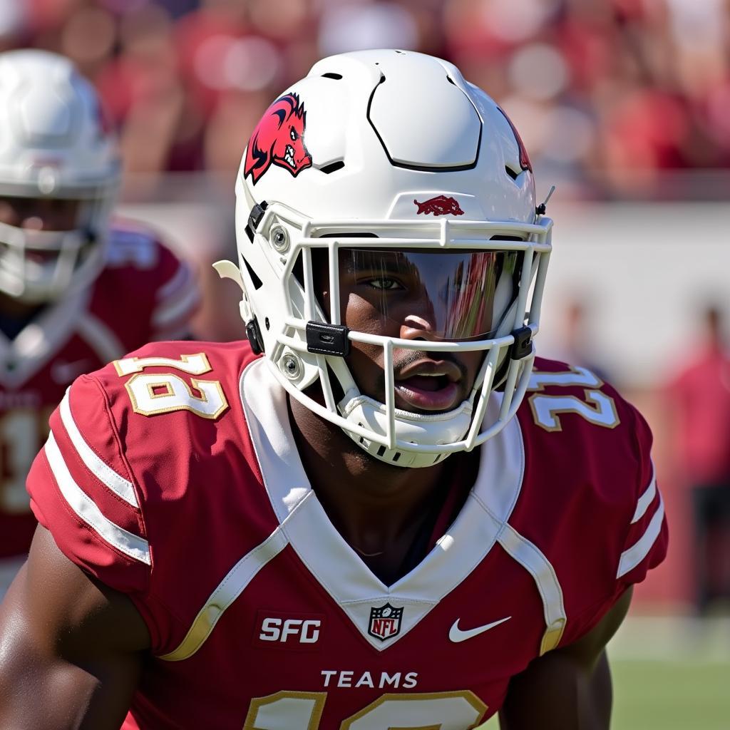 Arkansas Razorbacks Football Helmet on the Field