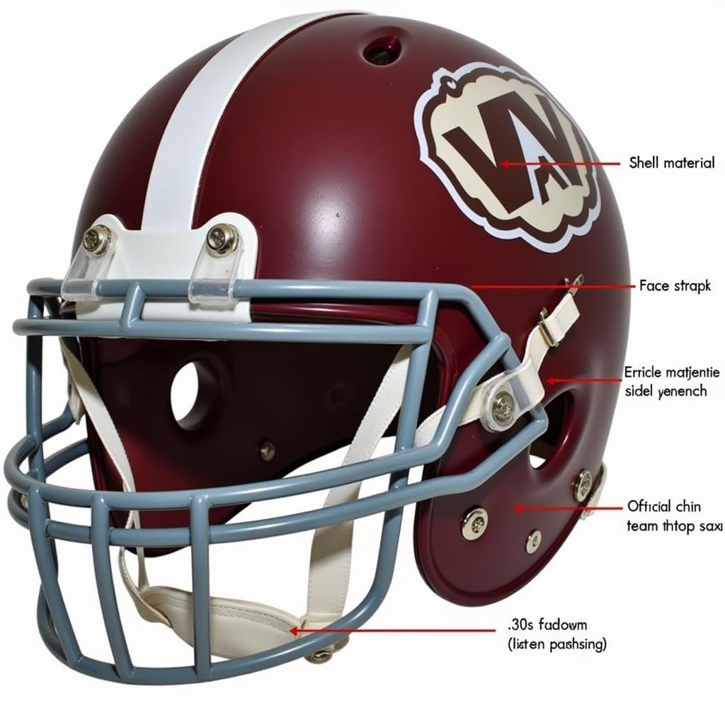 Authentic College Football Helmet Features