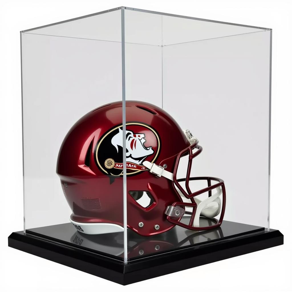 Authentic Florida State football helmet displayed in a protective case.