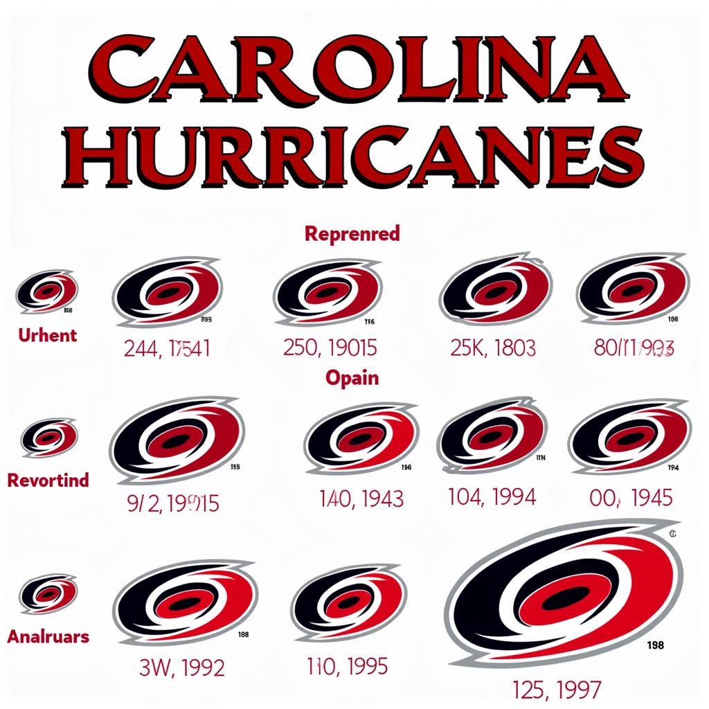 Evolution of the Carolina Hurricanes Font Over Time