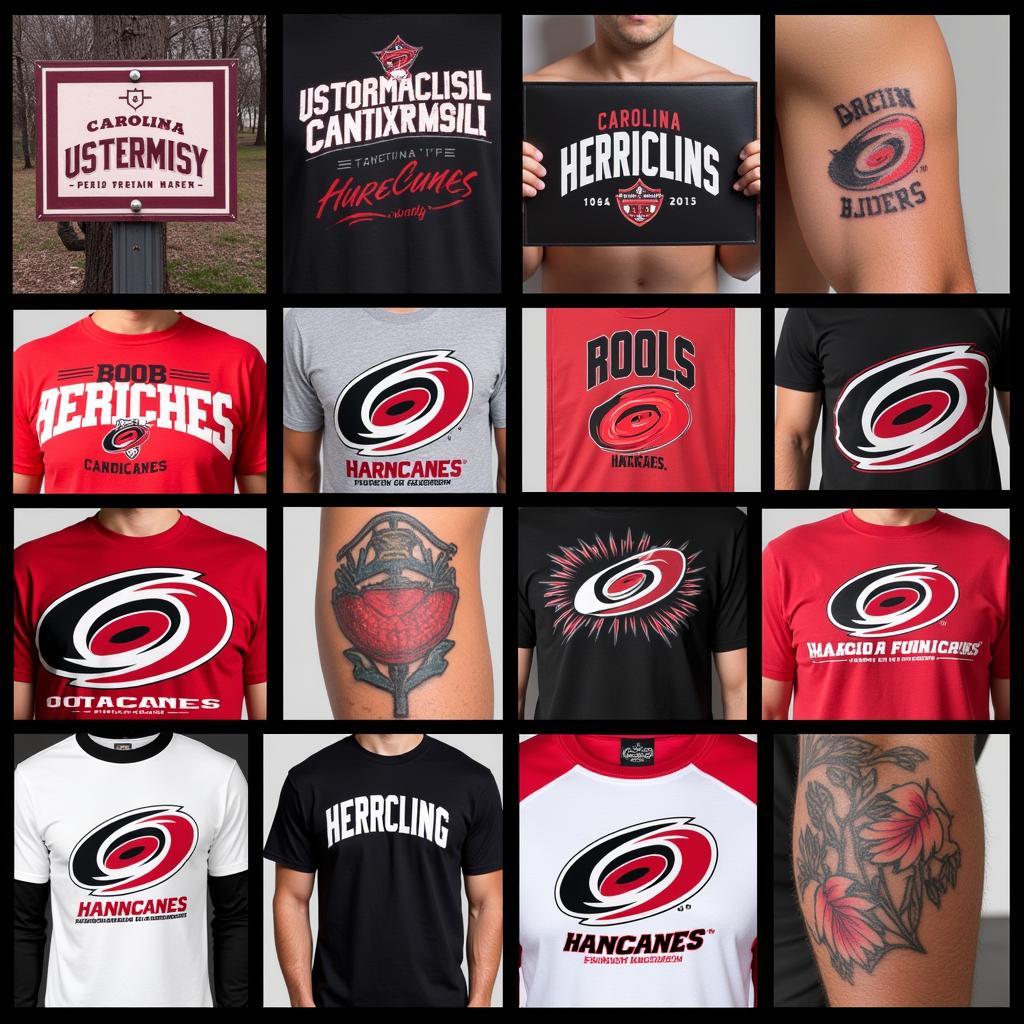 Carolina Hurricanes Font Used by Fans