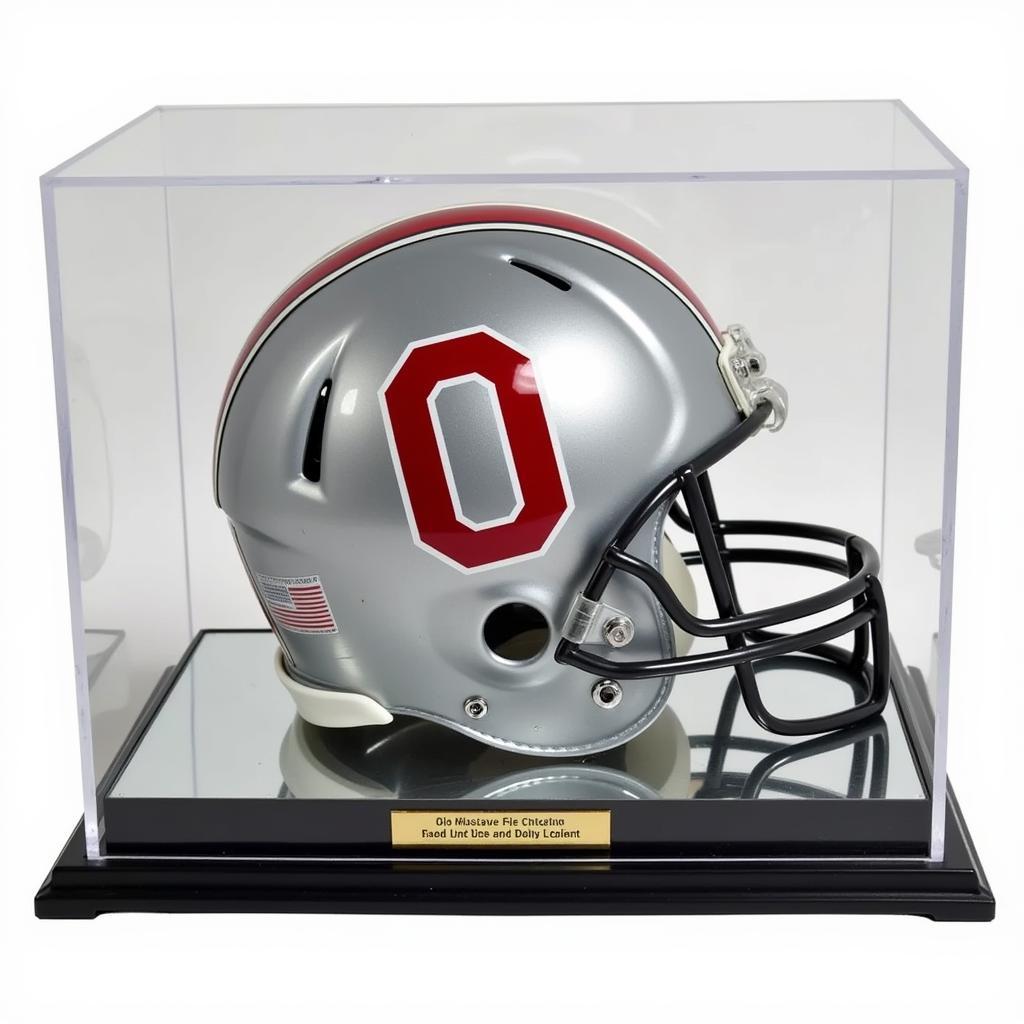 Full Size Ohio State Helmet Display Case