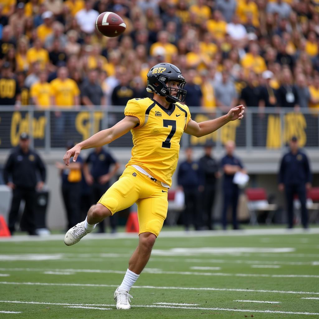 Harrison Butker Kicking for Georgia Tech