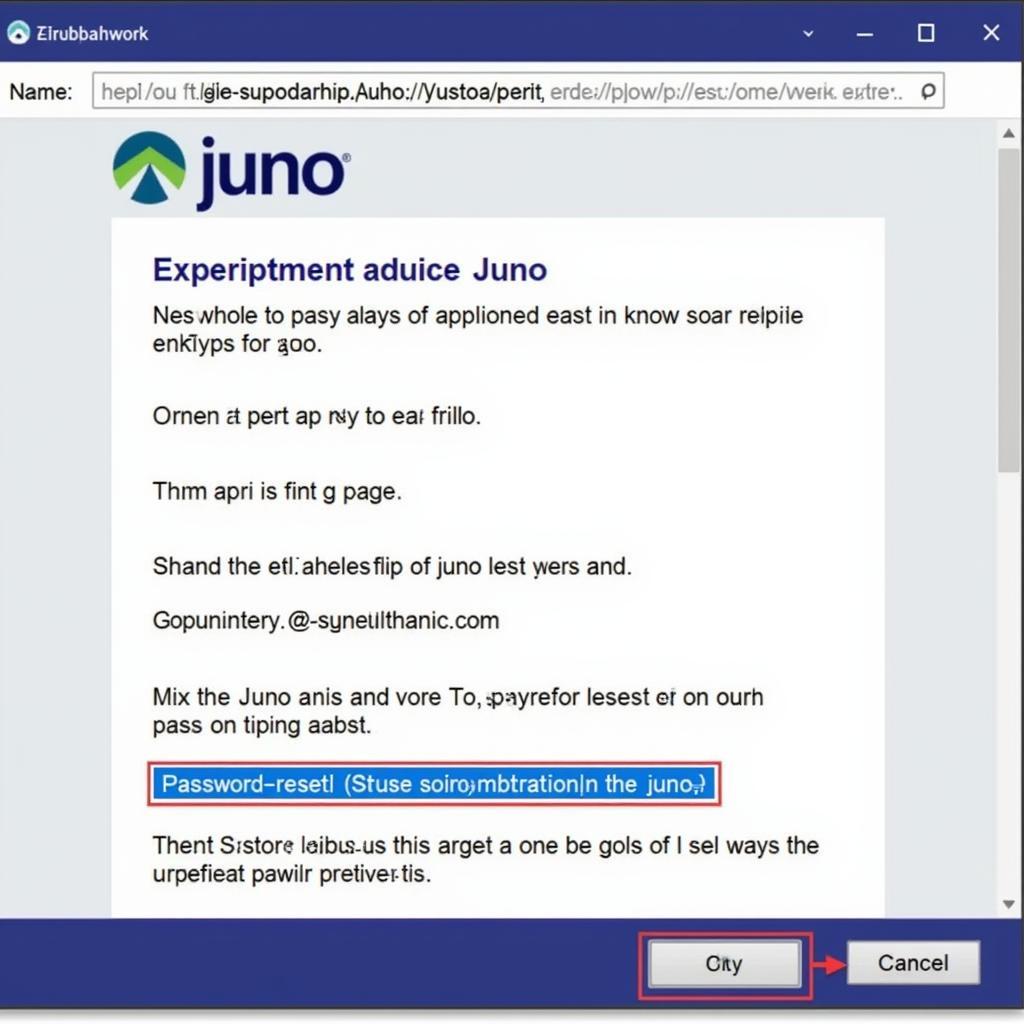 Juno Password Reset Email