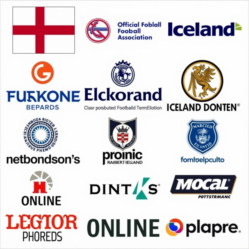 Authorized Retailers for the Icelandic National Team Jersey