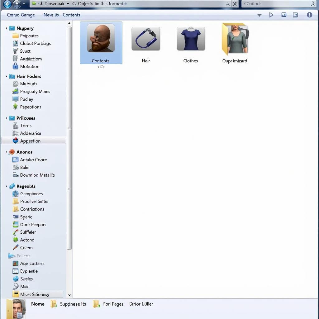 Organized Sims 2 Downloads Folder