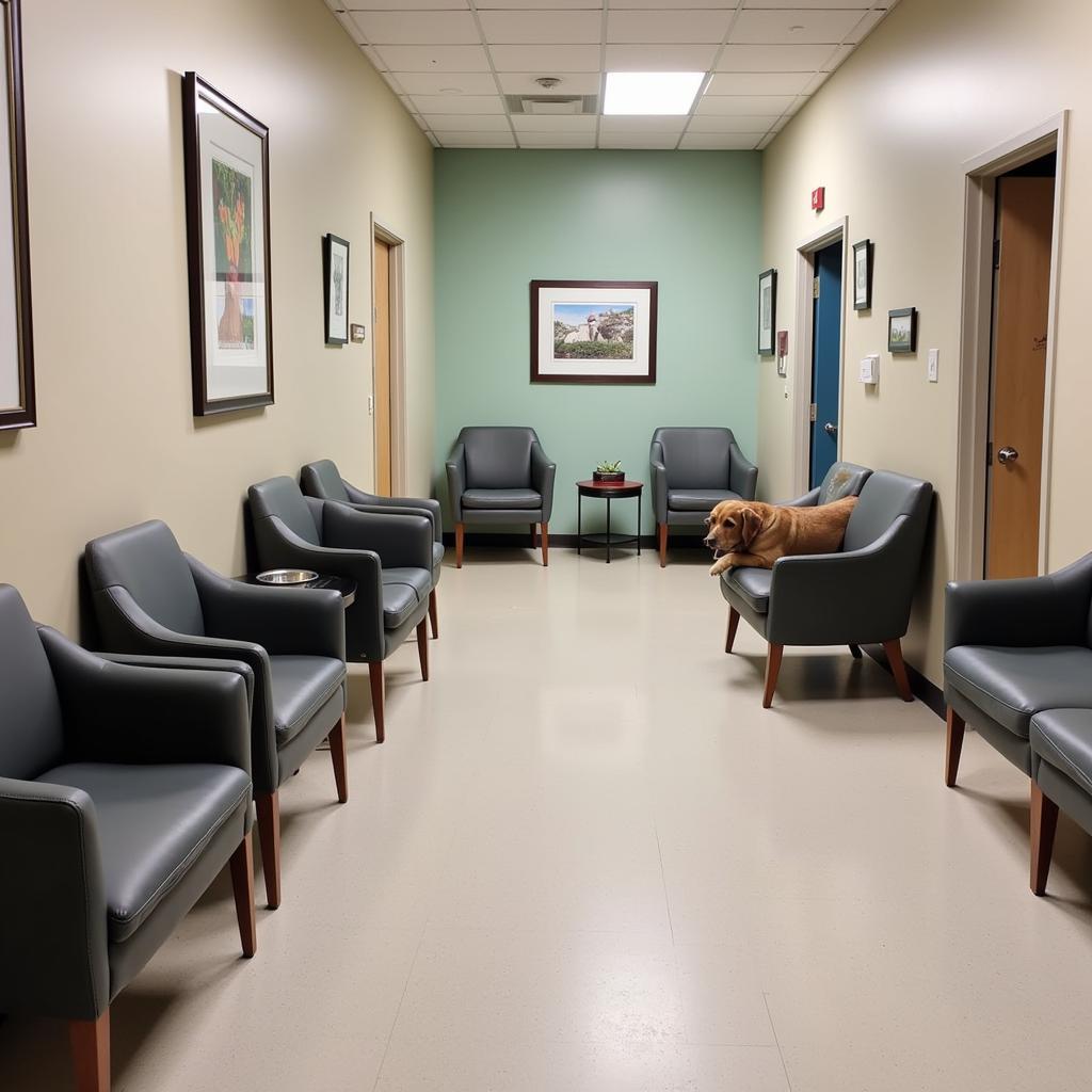 Comfortable and welcoming waiting area at Otter Creek Vet Clinic