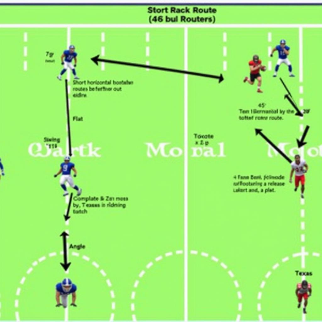 Basic Running Back Routes: Flat, Swing, Angle, and Texas