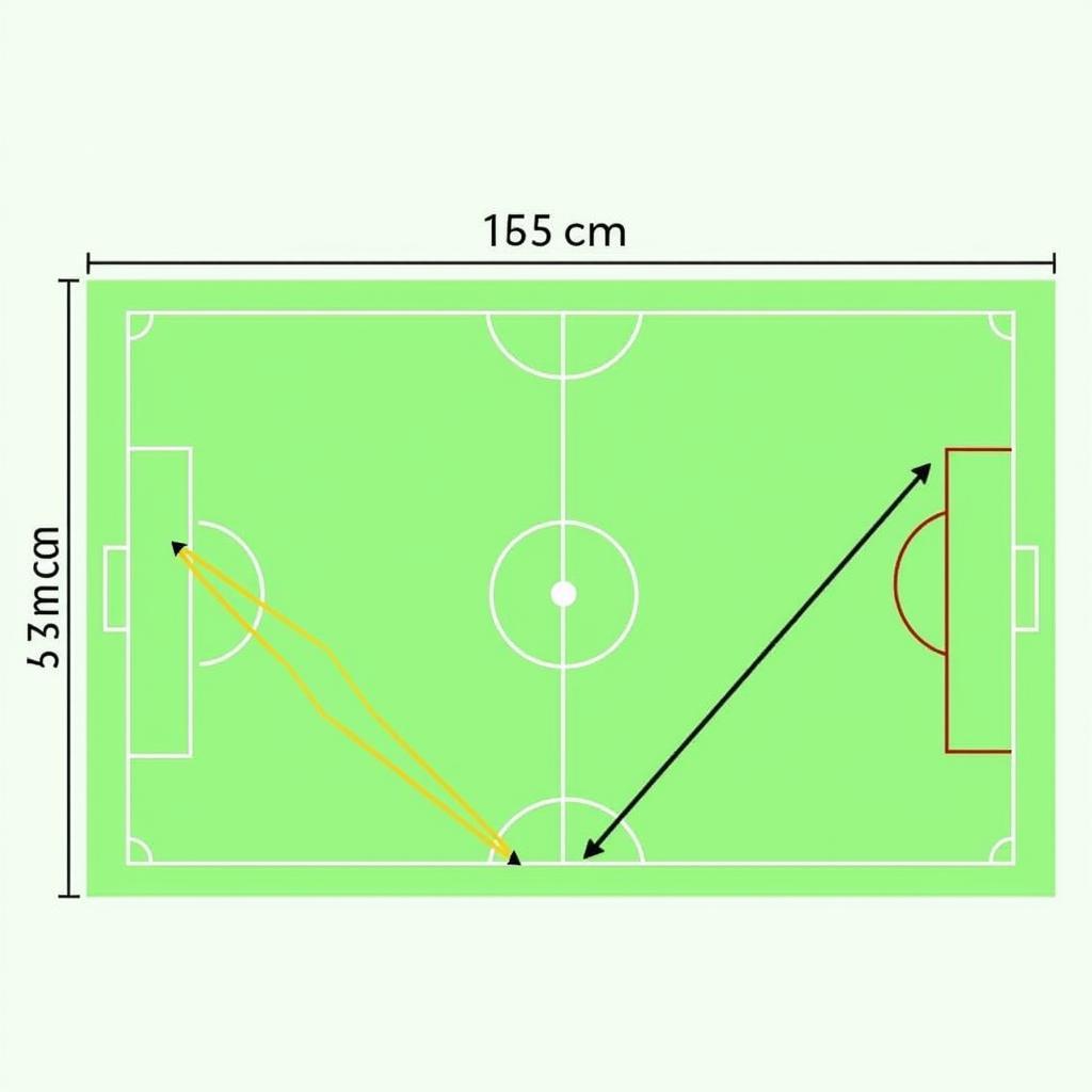 Diagram of a soccer field with dimensions marked in both feet and meters