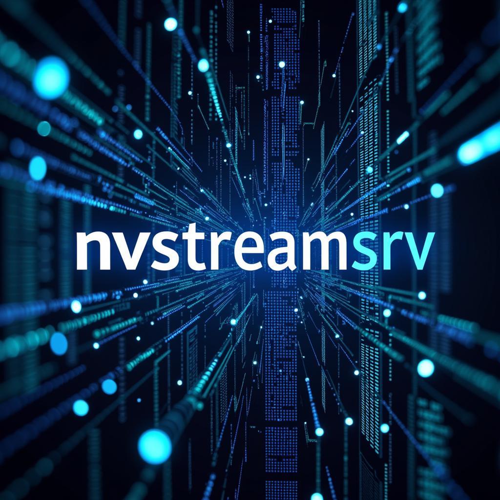 Technical Challenges in Streaming Represented by nvstreamsrv