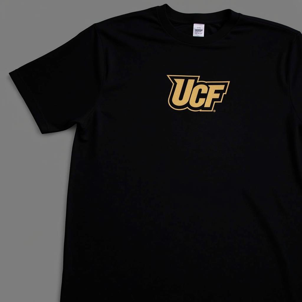 Classic UCF Alumni T-Shirt with Pegasus Logo