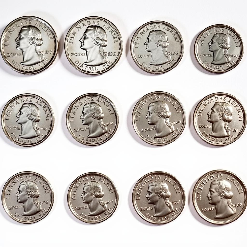 Collection of 2006 Canadian Quarters