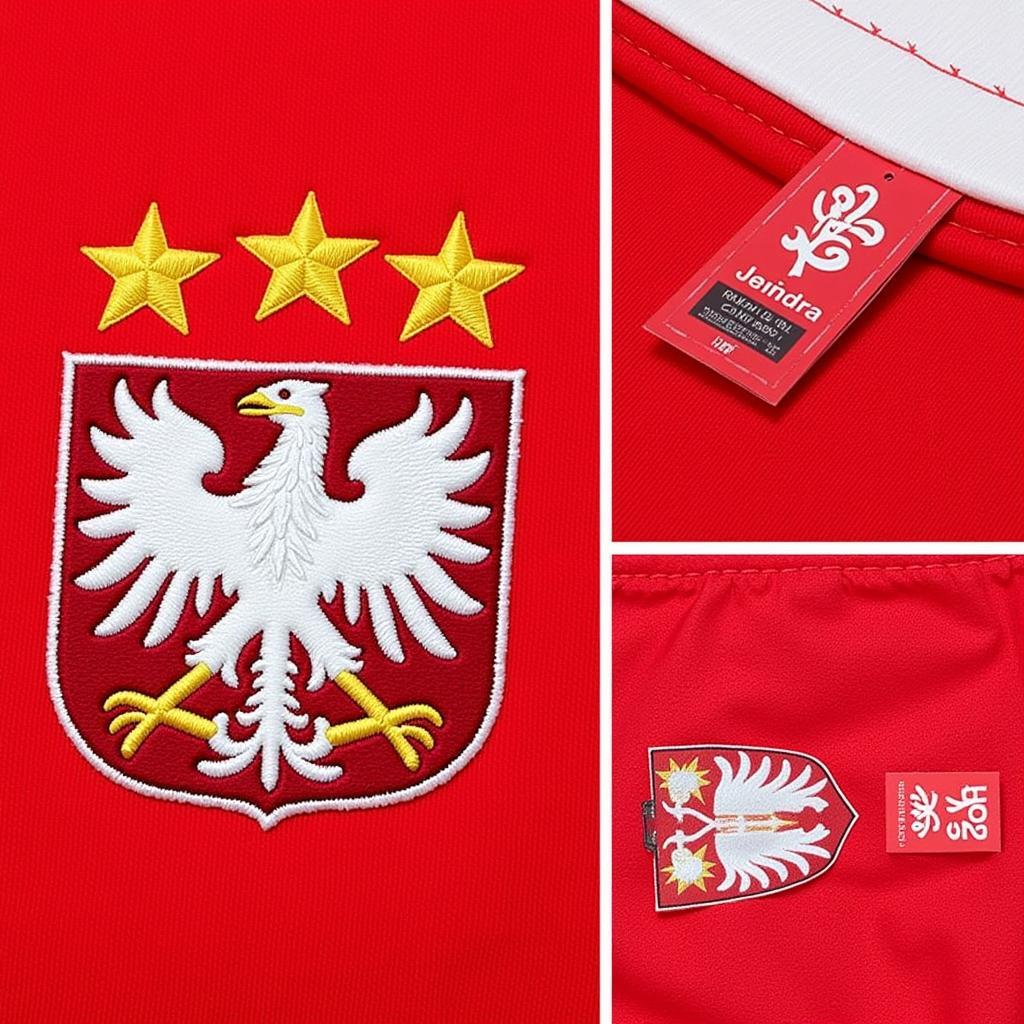 Close-up details of an authentic Poland kit showing the quality stitching and official branding.