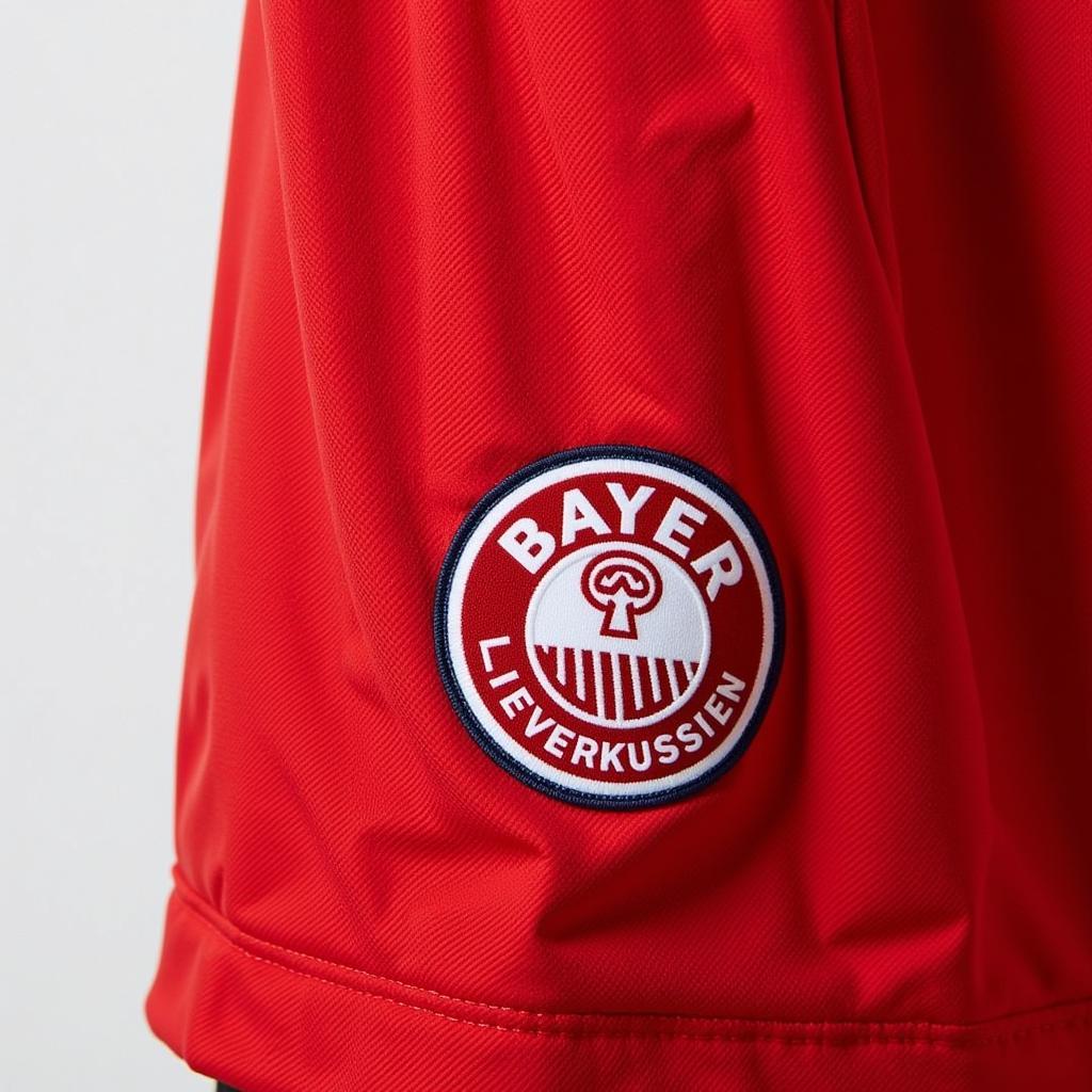 Bayer Leverkusen Kit 24/25 Detail View