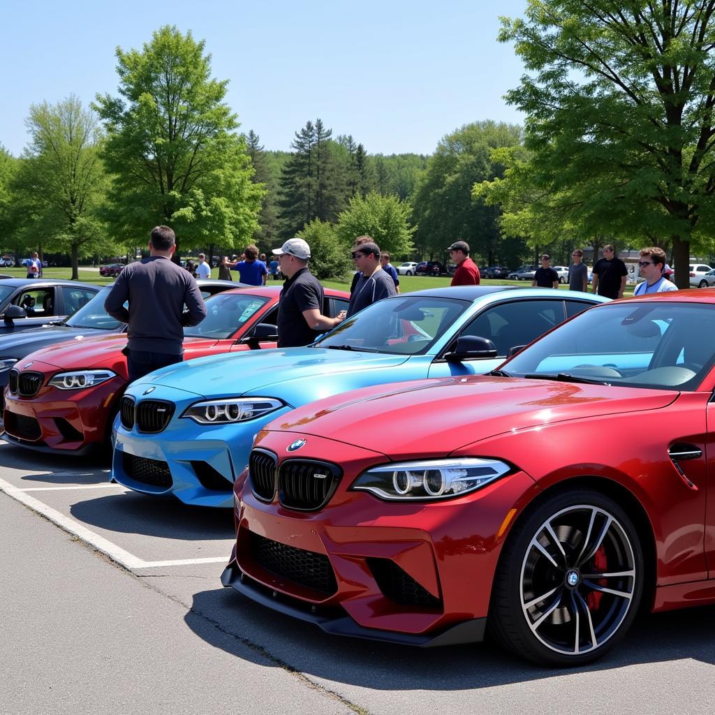 BMW M2 enthusiasts gathering at a car meet in Ontario