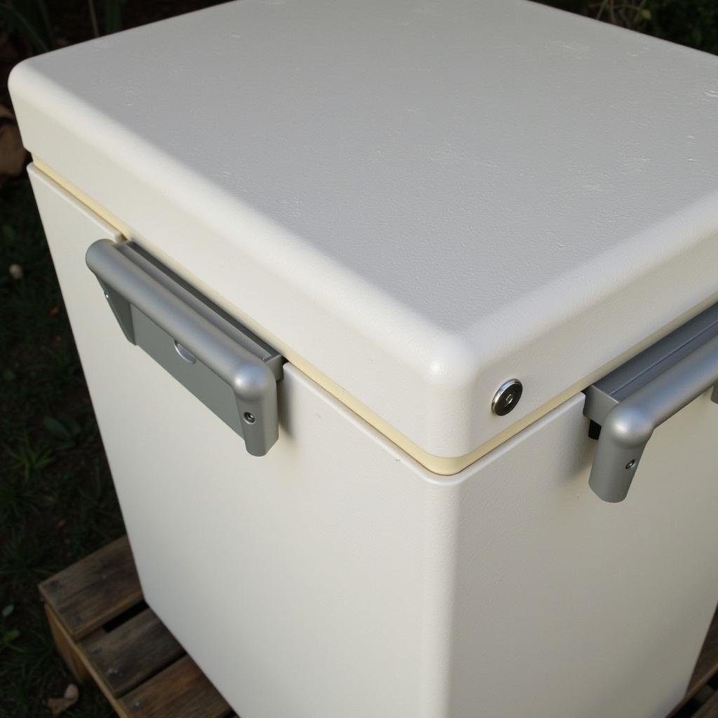 Chest Refrigerator Designed for Off-Grid Living