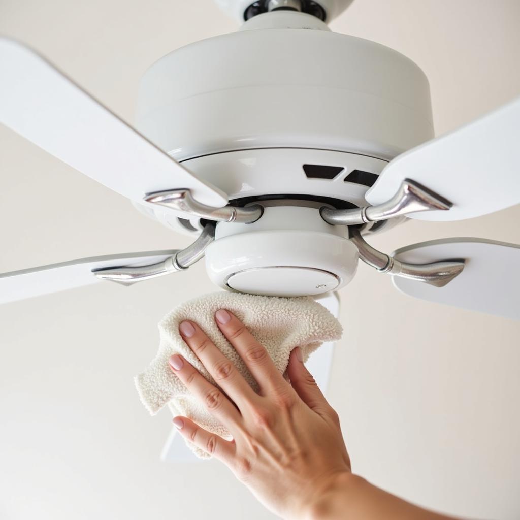 Cleaning White Ceiling Fan Hugger Blades