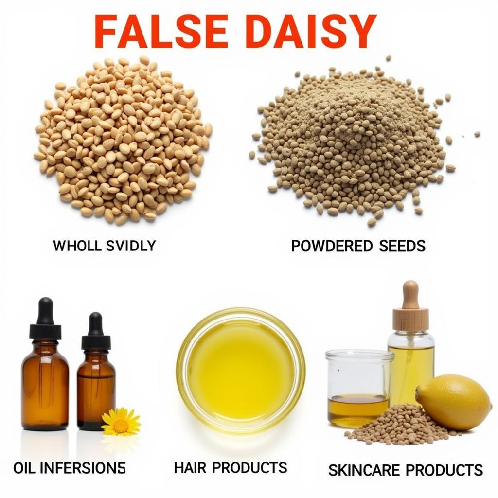 Various Uses of False Daisy Seeds