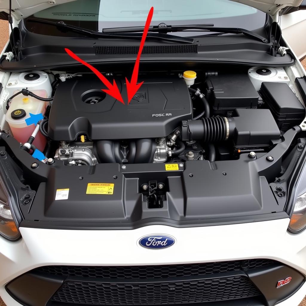 Focus RS Coolant Leak