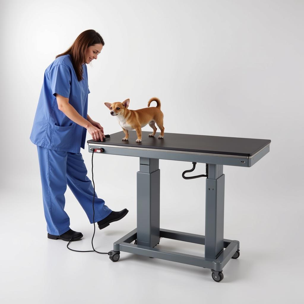 Hydraulic Vet Exam Table for Easy Height Adjustment