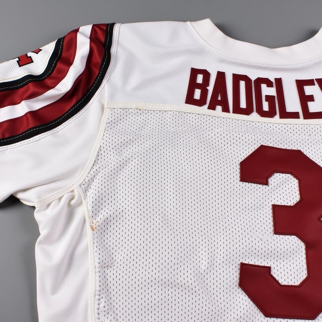 Michael Badgley Game Worn Jersey