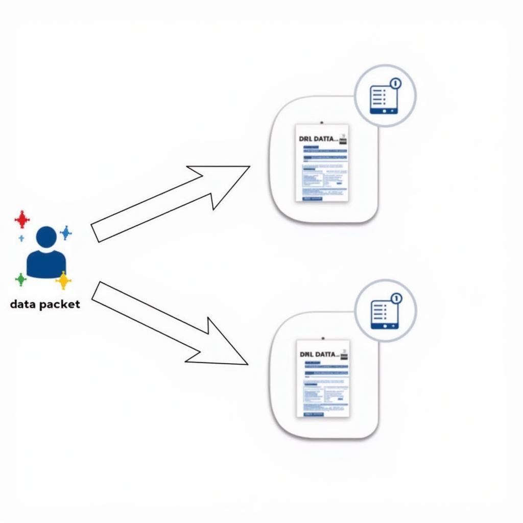 Network Capture Process in Action