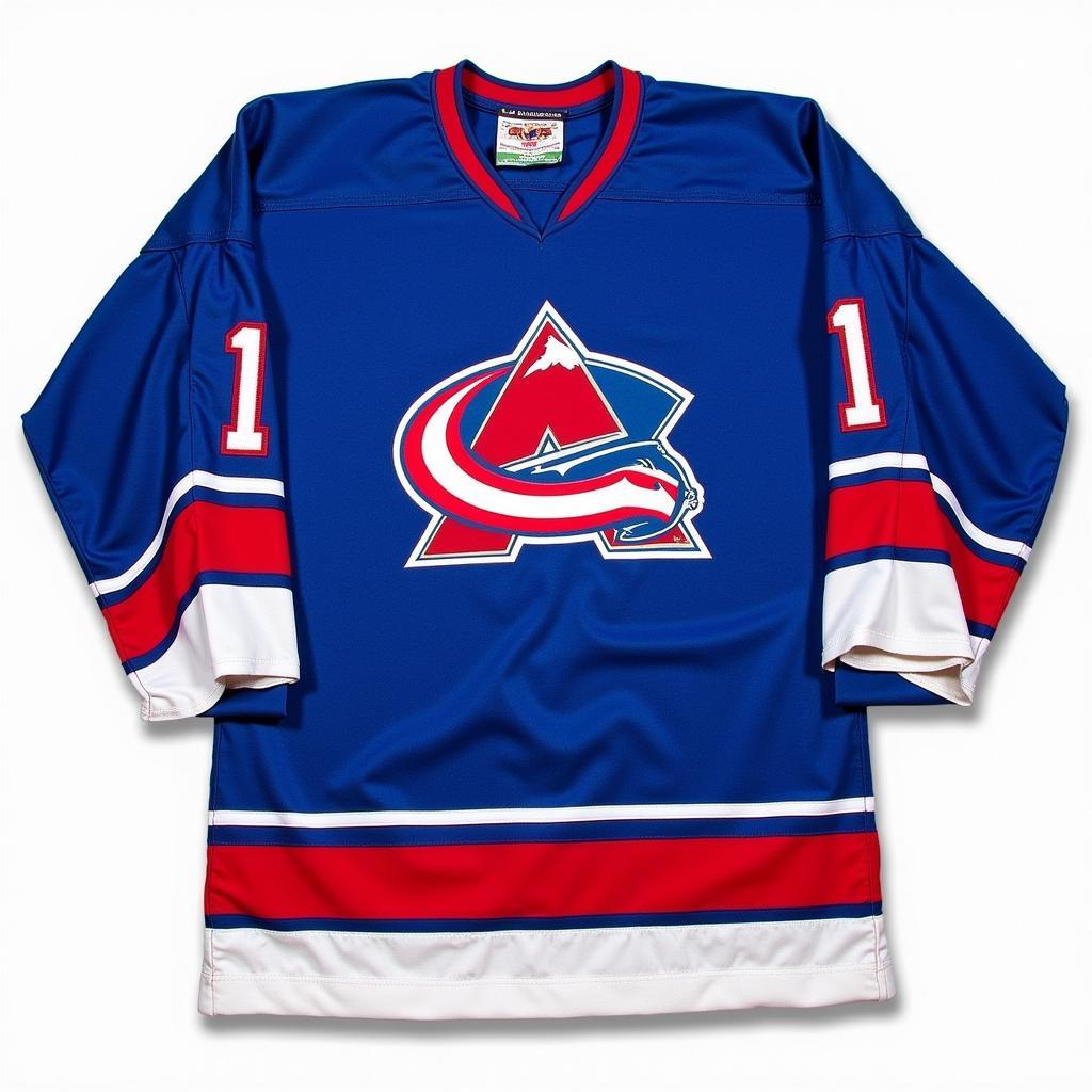 Quebec Nordiques Vintage Jersey