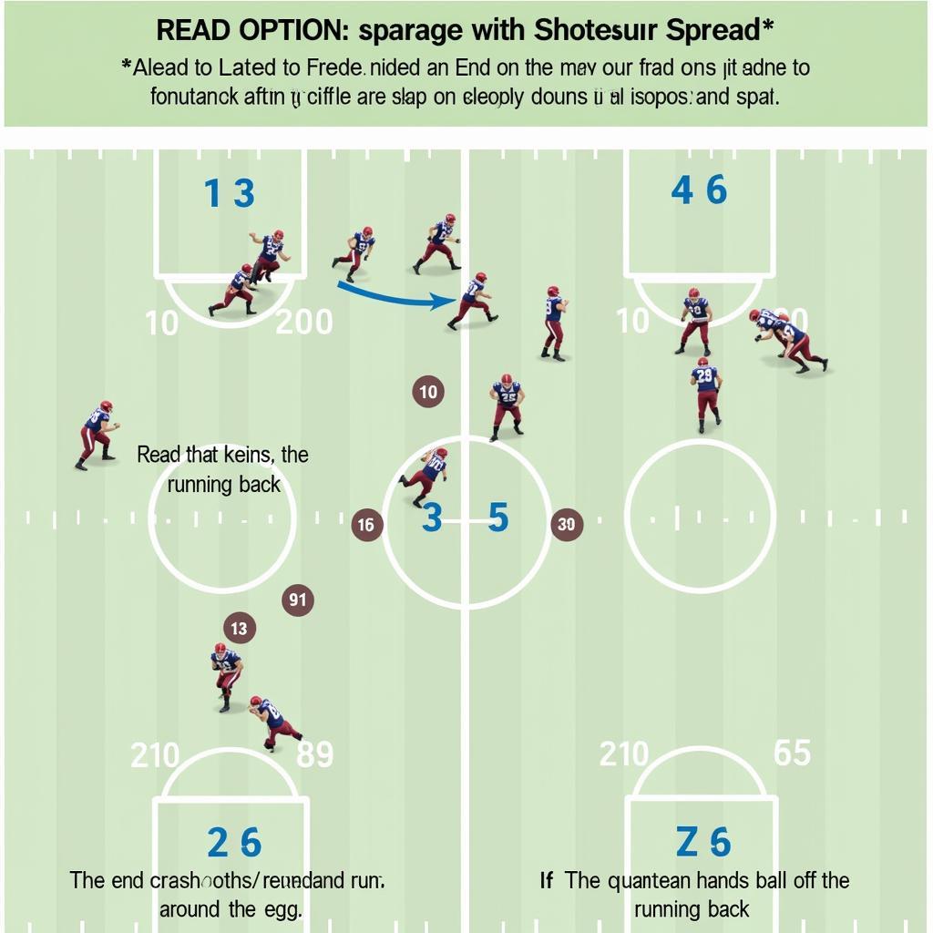 Shotgun Spread Offense Read Option Play