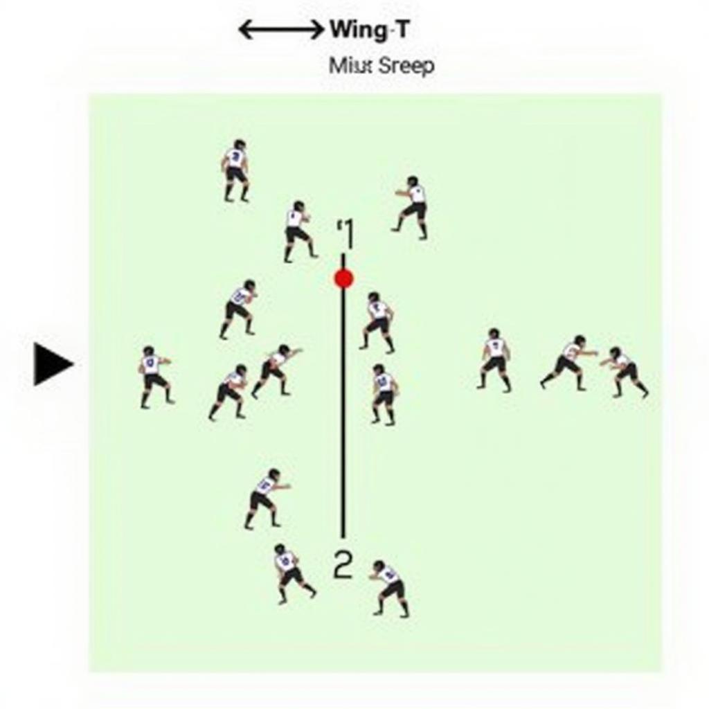 Wing T Running Play Example