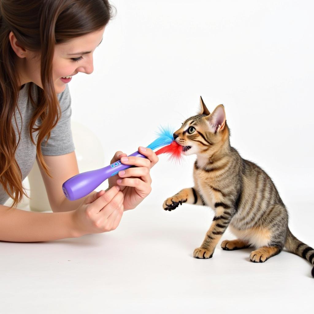 Cat Interacting with an Electronic Toy Under Owner Supervision