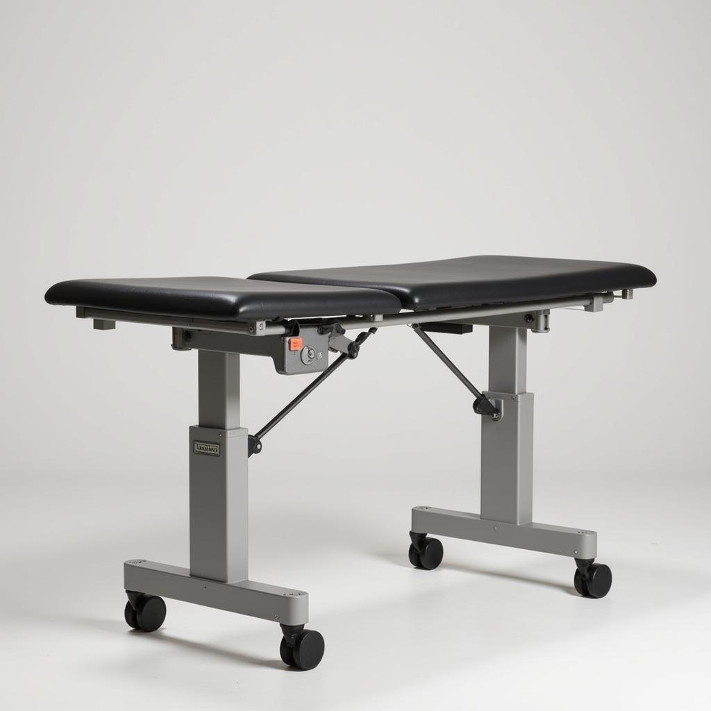 Modern Vet Exam Table with Adjustable Height